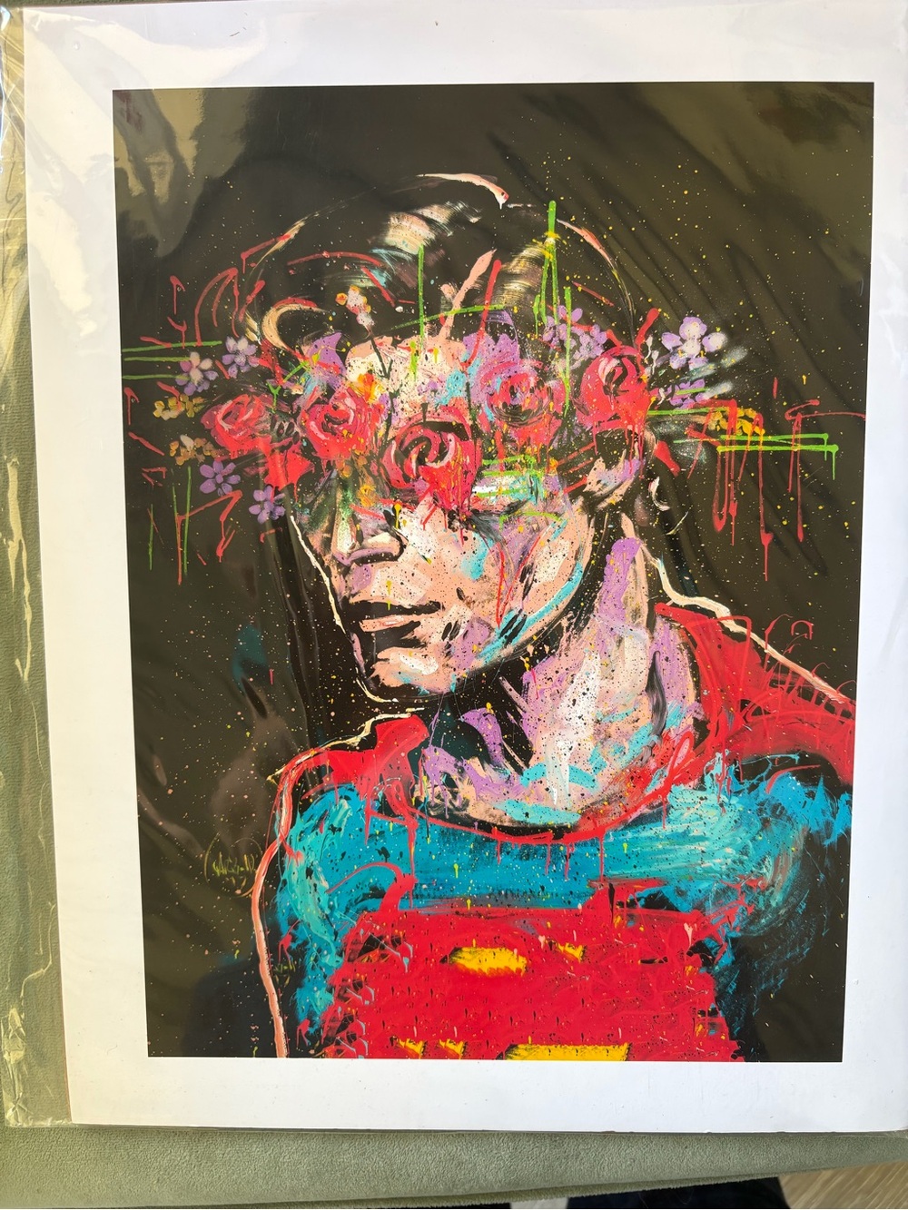 New Garabaldi Print
